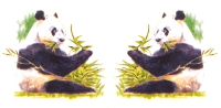 China-Restaurant Panda